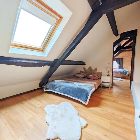 Duplex En Plein Centre Historique - Tout A Pied *